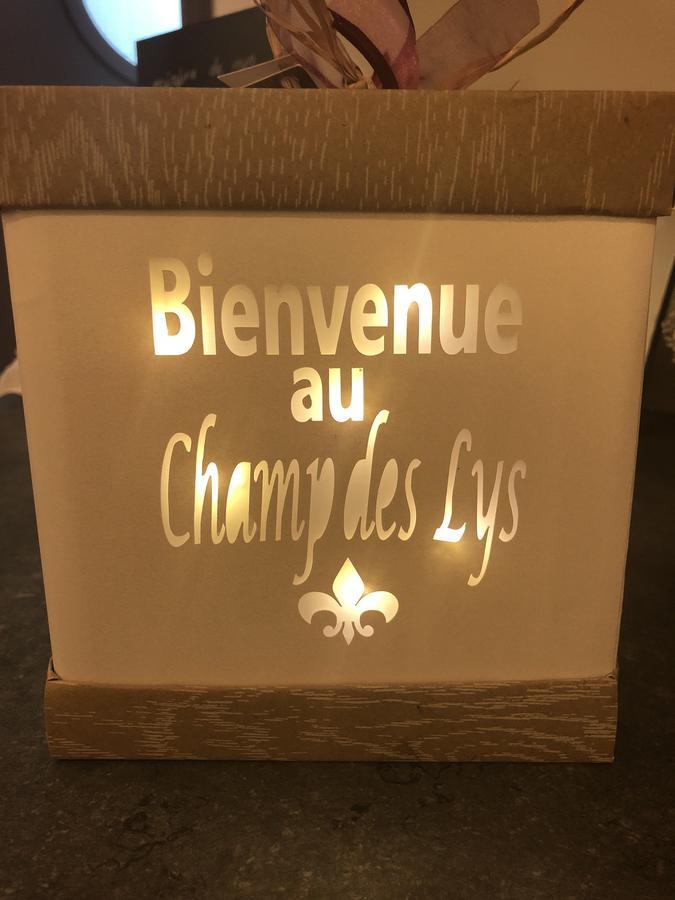 מלון Amancey Le Champ Des Lys מראה חיצוני תמונה